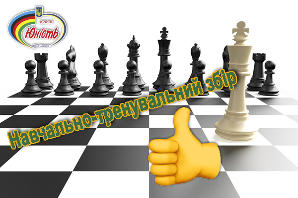 Навчально-тренувальний збір збірної Київської області з шахів